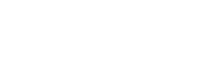 NexiFuel